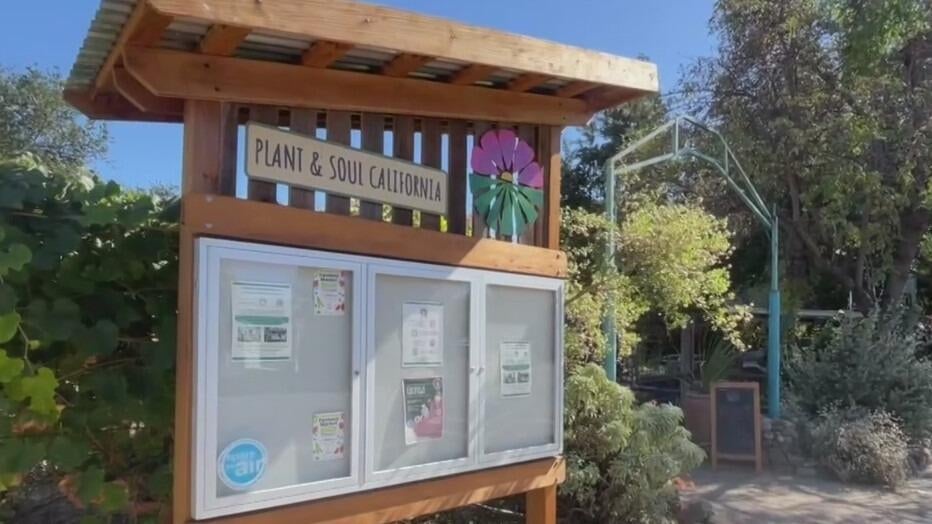 San Jose community garden told to leave as land is sold to developer — CBS Bay Area (KPIX), Yountville Real Estate news
