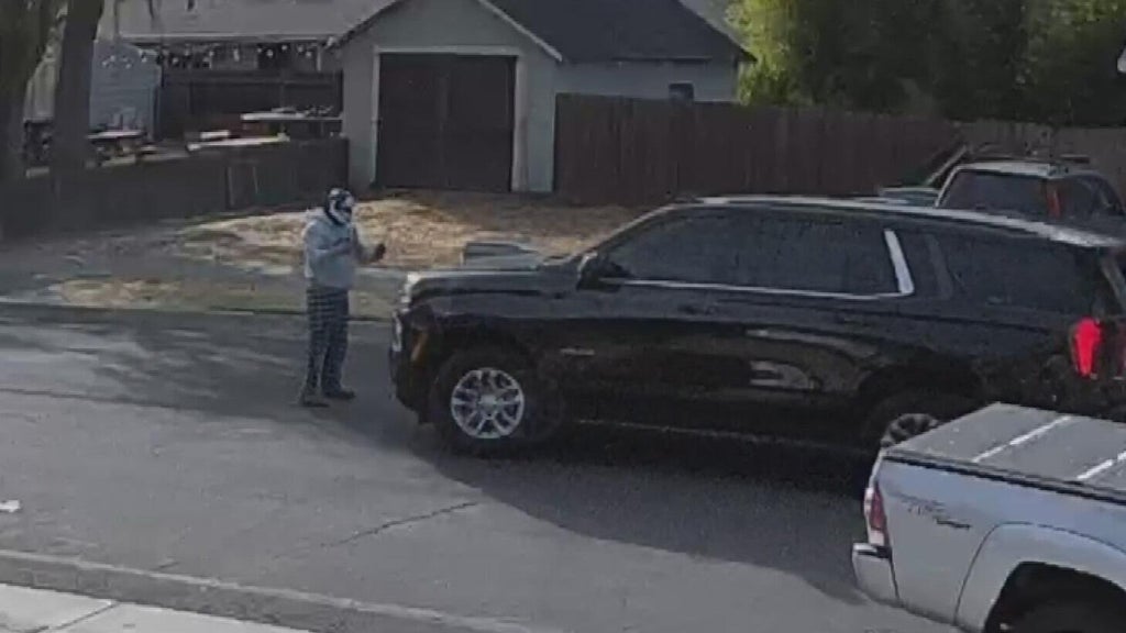 Woodland police dispute DHS account of ICE agent's collision with pedestrian — CBS Bay Area (KPIX), Yountville Health news