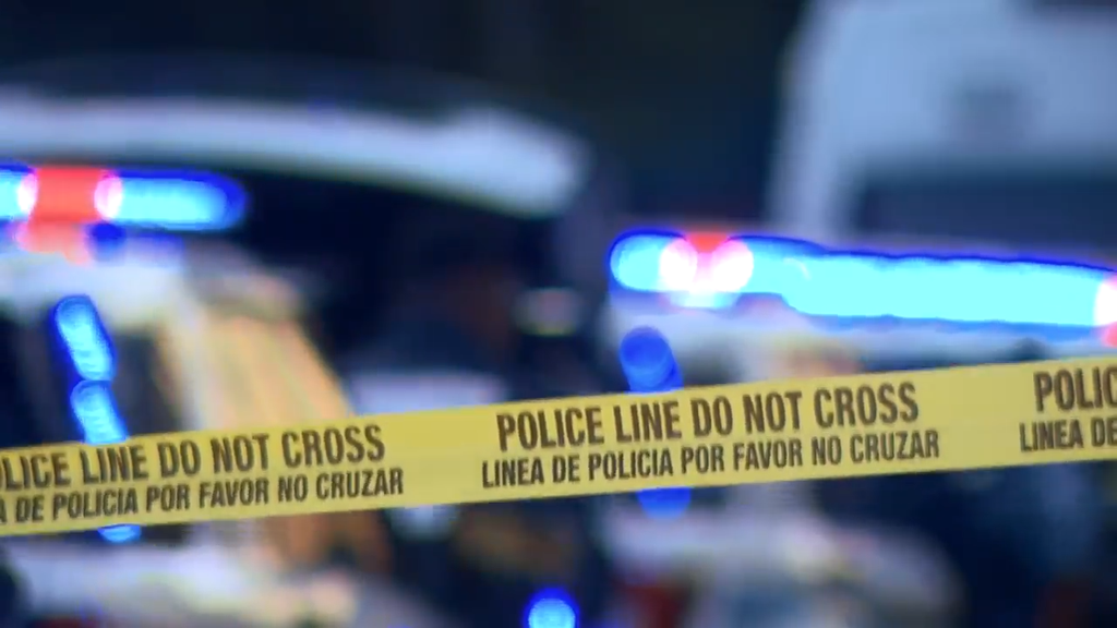 Man accused of stabbing, killing his own mother in Tamarac, BSO says — CBS Miami, Yountville Health news