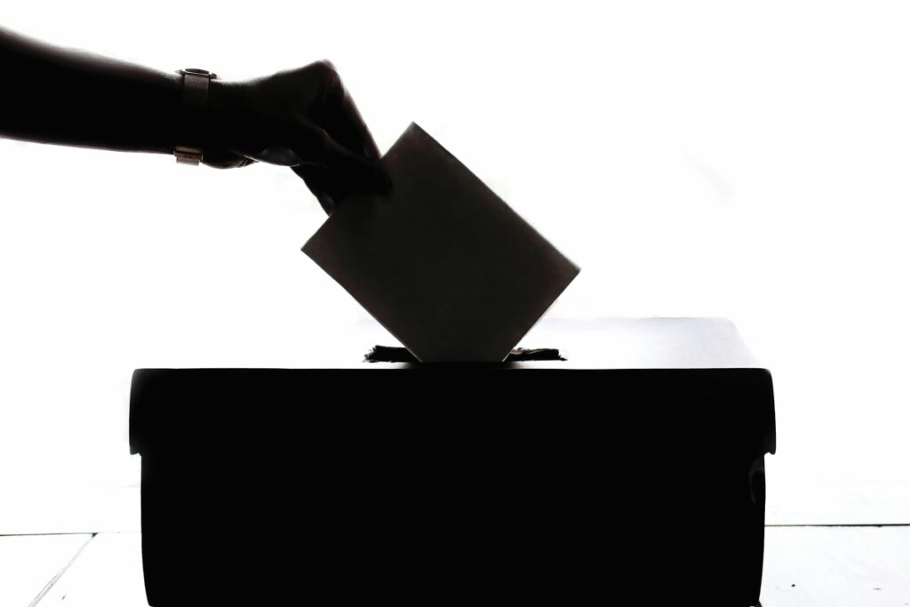 Beyond the Ballot, Vote Like Democracy Depends on It — North Bay Bohemian