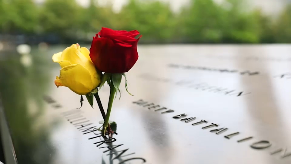 Second 9/11 victim identified with breakthrough genetic genealogy, NYC officials say
— ABC 7 Bay Area, Yountville Community news