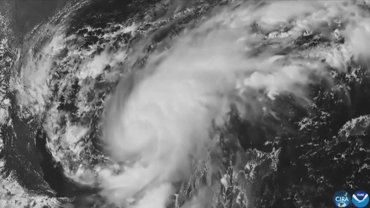 Hurricane Isaias: Residents board up windows and National Guard troops deploy as storm nears US Gulf Coast
— ABC 7 Bay Area, Yountville Sports news