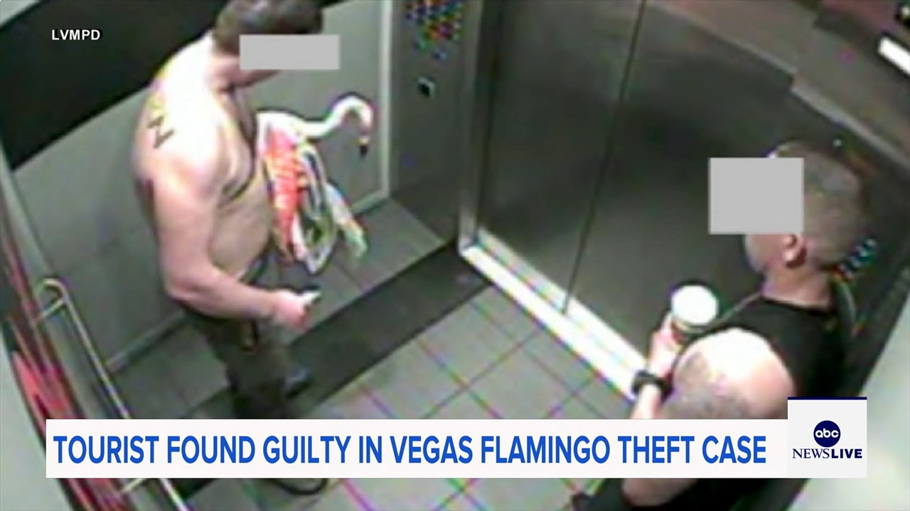 Man who snatched Peachy the flamingo from Las Vegas hotel exhibit found guilty of animal cruelty
— ABC 7 Bay Area, Yountville Arts news