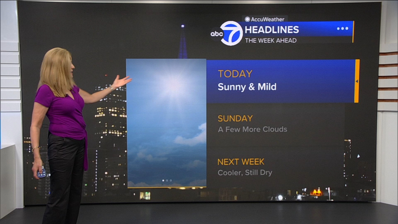 AccuWeather Forecast: Sunny and mild
— ABC 7 Bay Area, Yountville Community news