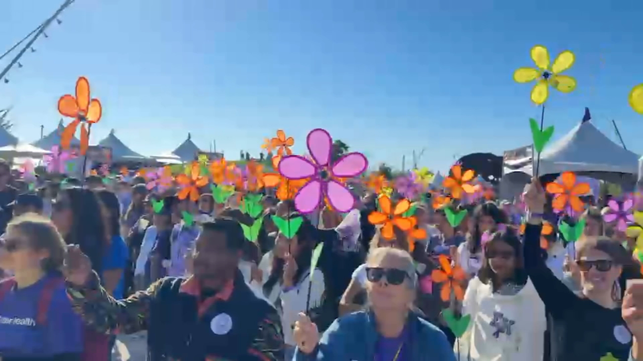 $1.2 million raised as thousands of people participate in 2026 San Francisco Walk to End Alzheimer's
— ABC 7 Bay Area, Yountville Community news