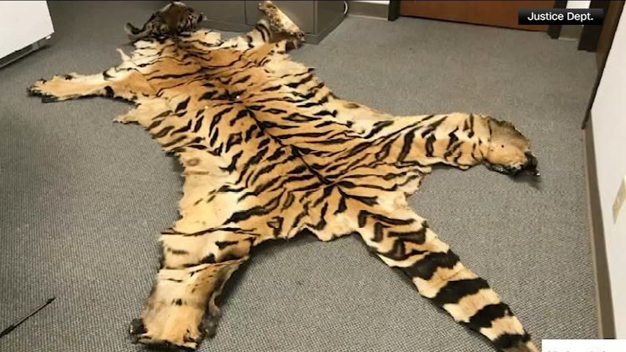 California couple pleads guilty to trafficking wildlife
— Yountville Community news