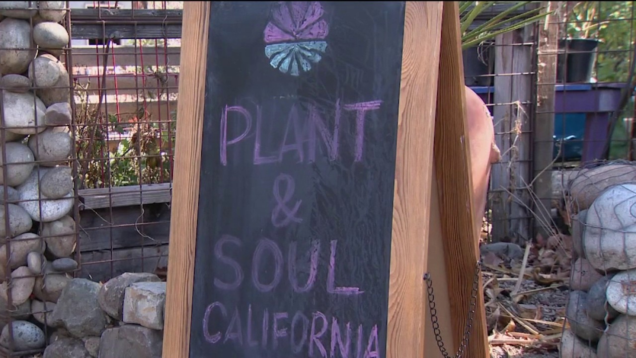 San Jose community garden faces possible eviction — KTVU FOX 2 Bay Area, Yountville Schools news