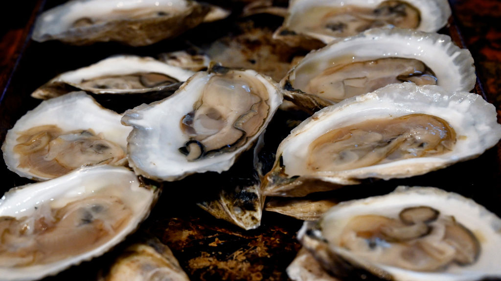 Sewage leak temporarily halts Tomales Bay oyster harvest — KTVU FOX 2 Bay Area, Yountville Business news