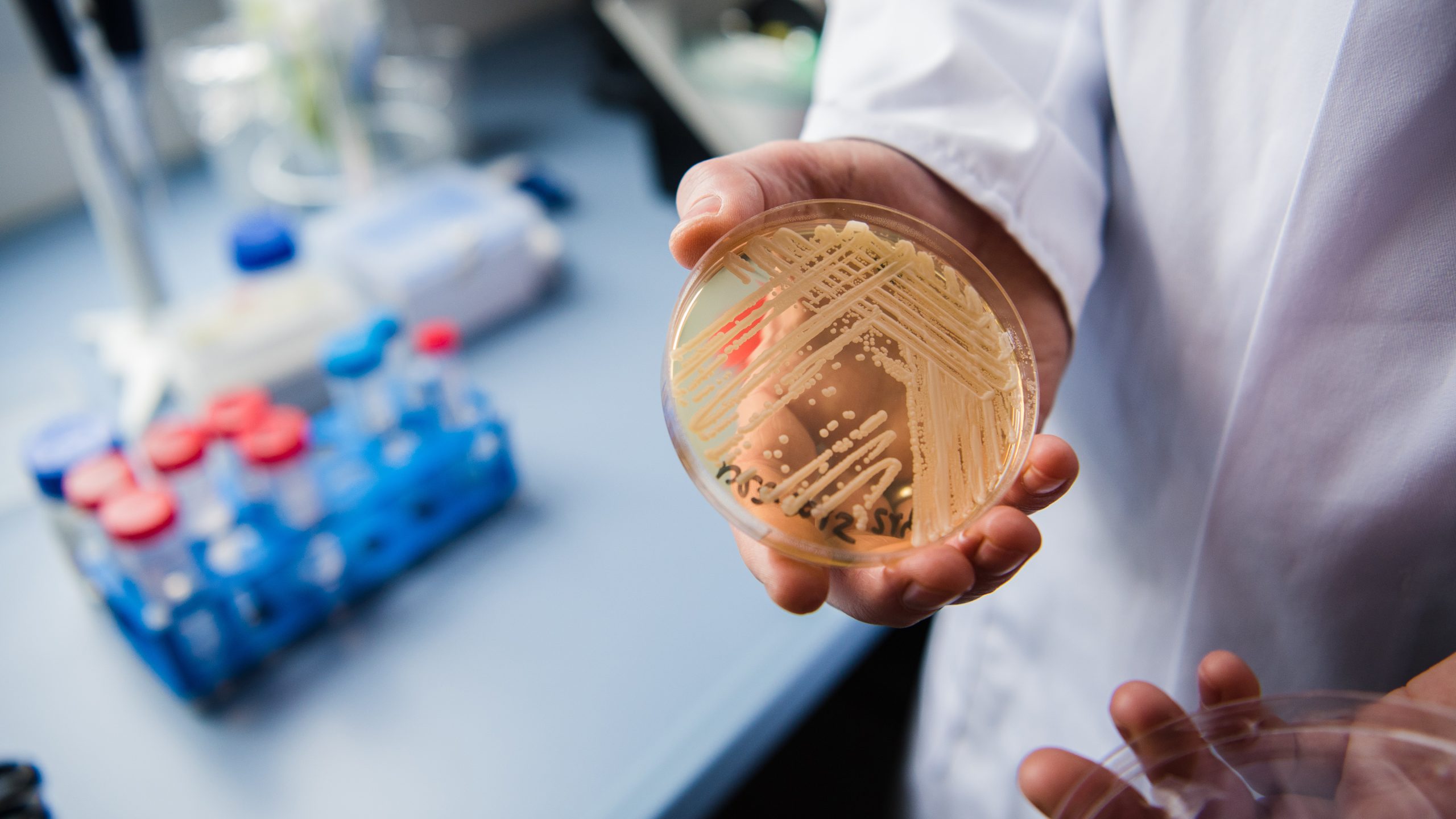 New study reveals why dangerous fungus is so difficult to treat — KTVU FOX 2 Bay Area, Yountville Community news