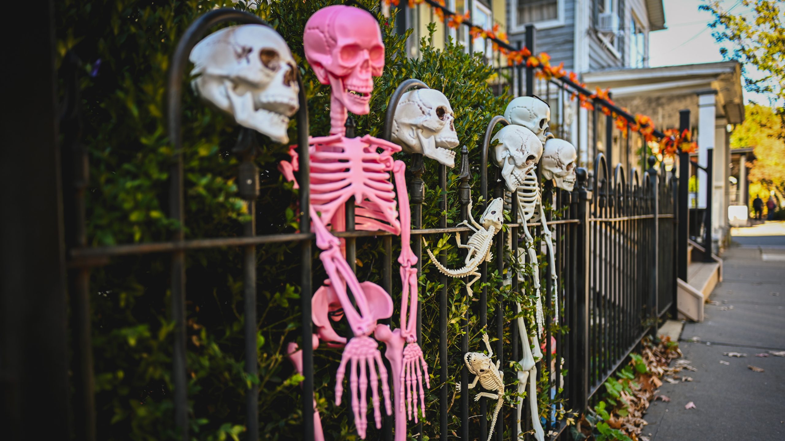 America's best cities for Halloween, ranked — KTVU FOX 2 Bay Area, Yountville Community news